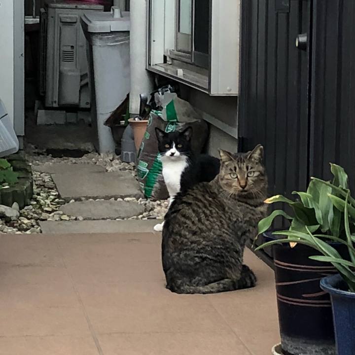 Baa6ca89 bb56 4d02 9275 1e414658da31 1540994144678