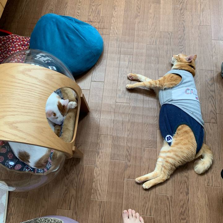 Baa6d6ed b190 40f6 8579 c55bc22adcd3 1616223880871