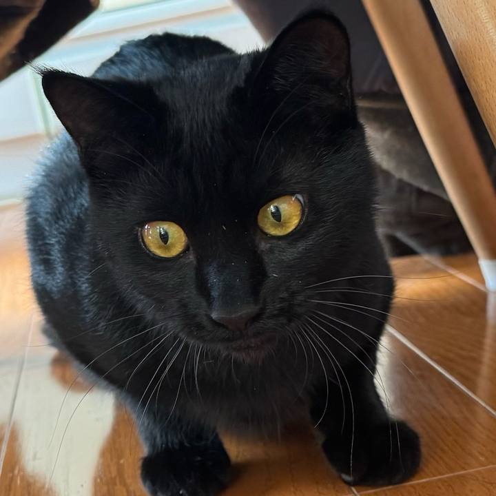 Baa70564 6846 4aac b5cc c1b8988a8353 1736569683575