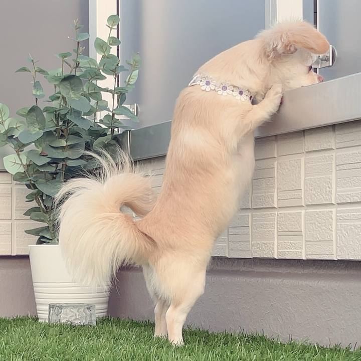 Baa723e7 eca2 4fc3 839c e3cc2d2e4466 1687694954990