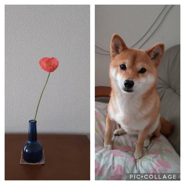 Baa72a6d 225f 4f94 a61a 21c4c43f8303 1682574308915