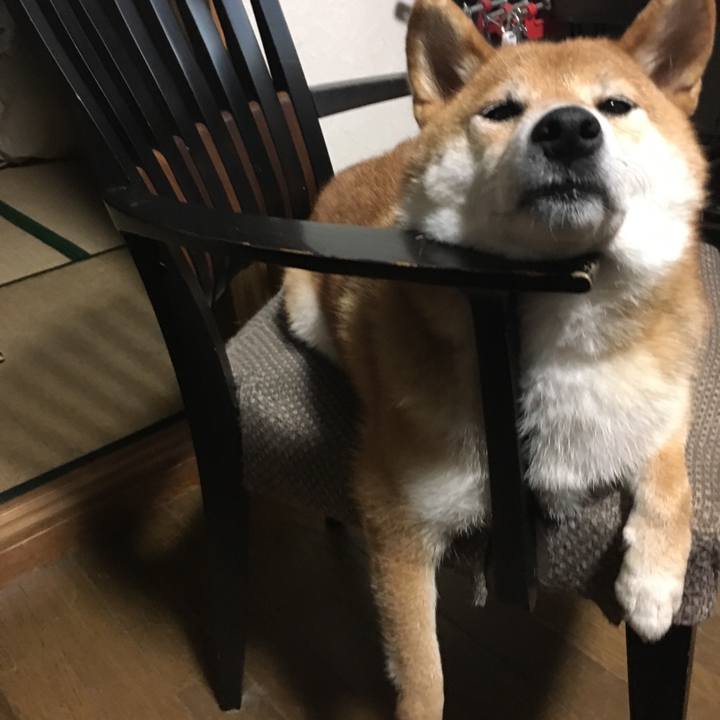 Baa73bcb 376b 464c b000 f6dfbdf9a562 1568086670520