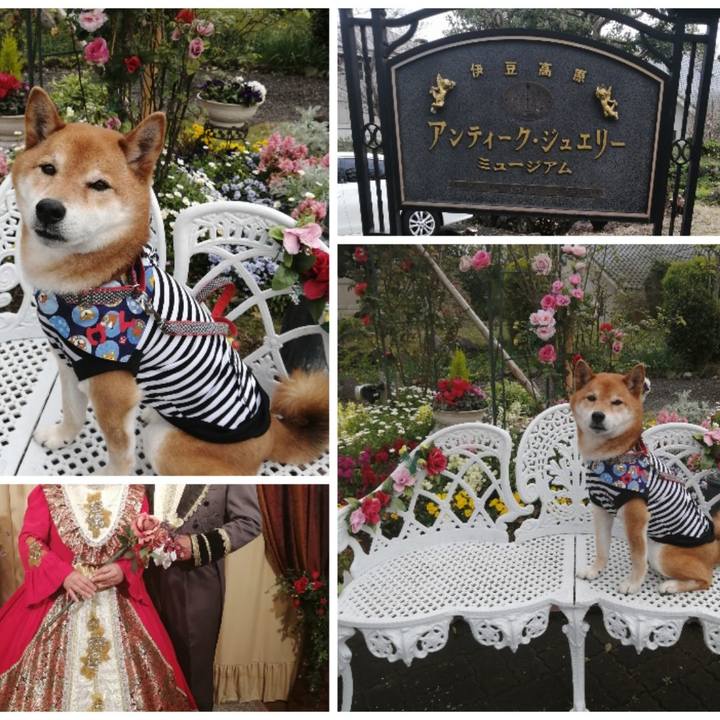 Baa762fd 74ef 40a3 80ef be075d2f90ca 1616919094418