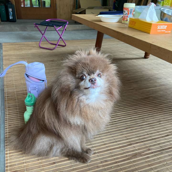 Baa76d4f 7039 4da8 bef5 f974dddfb191 1722940999973