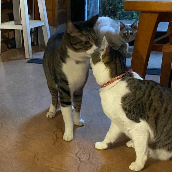 Baa7af8d a367 4c2a a777 f078a5ac97a5 1737884253694