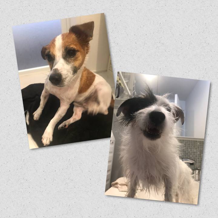 Baa7bf8b 3c43 469b ac2a cc2f5688d191 1537317392525