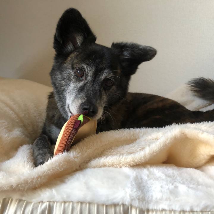 Baa7c3b3 7ba7 4b48 b196 46b48837113c 1689563282184