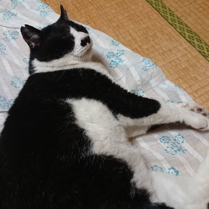 Baa7d8ee 9d04 42d8 8821 838f122c788b 1622885574464