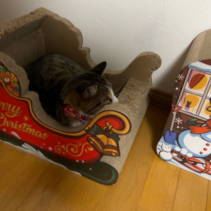 Baa7f3ba 7d31 4d32 afd9 81b1d747f750 1734645034478