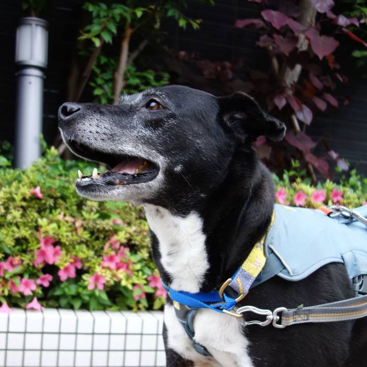 Baa841f8 98f6 4d06 ab8e c7c335c8f81c 1747527610320