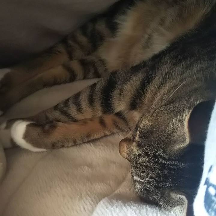 Baa84980 7a20 4019 8664 ebae6243620b 1619042217545