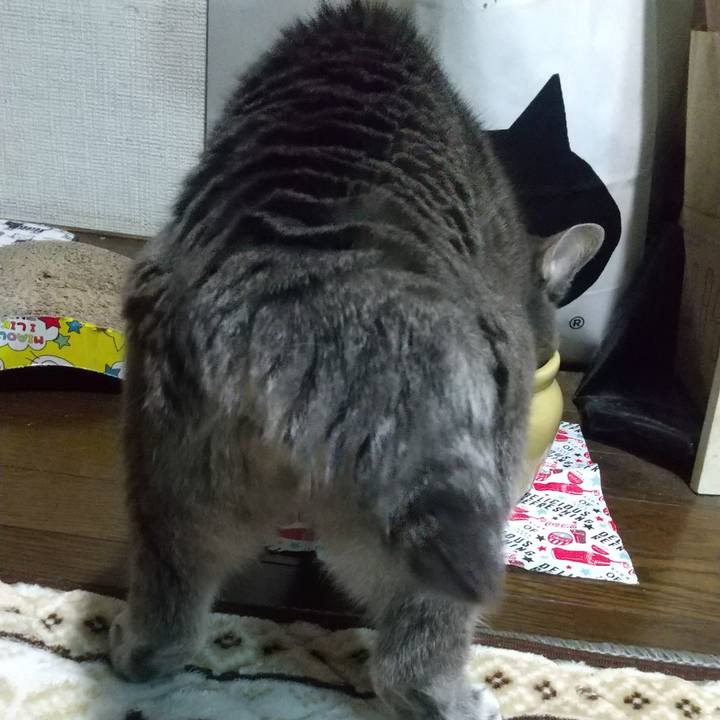 Baa85dc1 269f 4be6 a4cc c1ff5560ab59 1668607959355