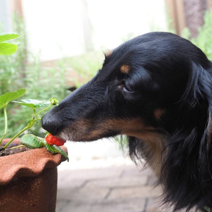 Baa881cd 22bc 4677 89d6 e751f558da64 1634002052979