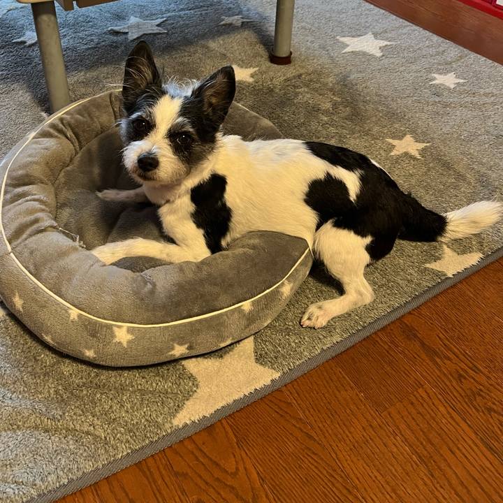 Baa89e1a 6421 4b14 b970 23903d001d1c 1708659002777