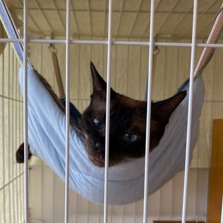 Baa8a19a cb7a 494b a078 663554a33480 1749963529668