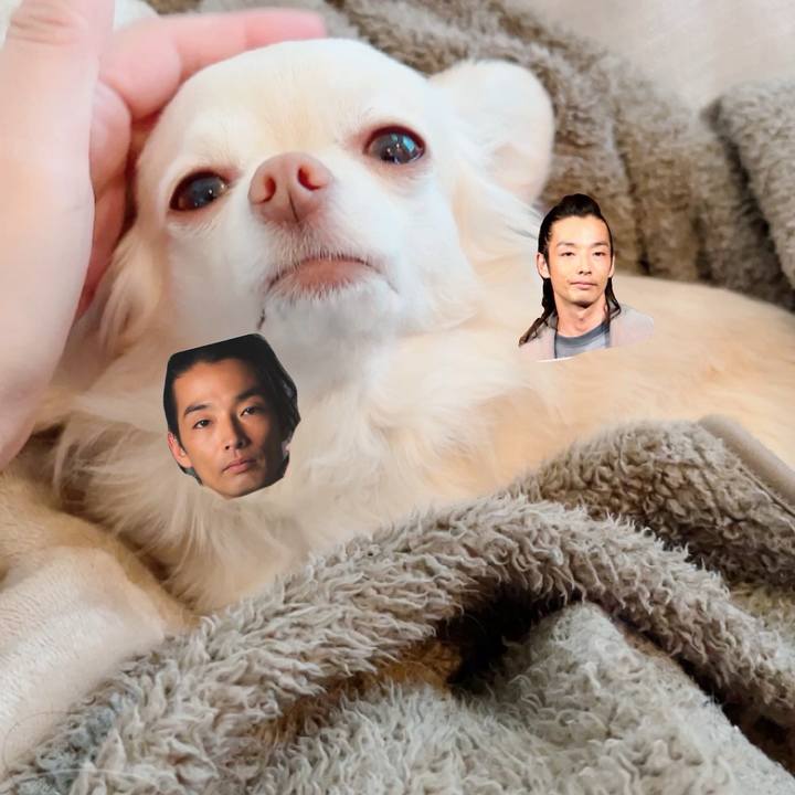 Baa8c58d 66a4 44f9 b8fc f25d01b51fbb 1707819211661