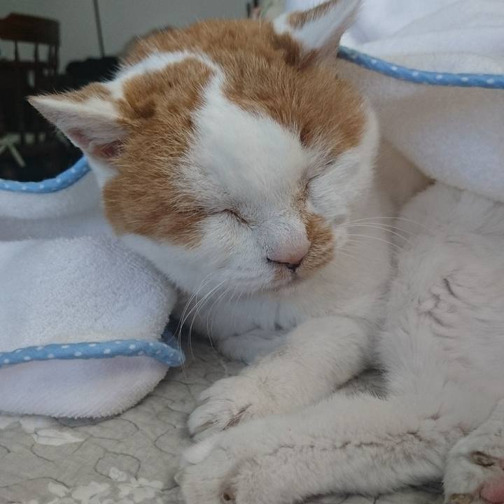 Baa8d7d5 b4e6 4a07 9684 112495ae459f 1557009711941