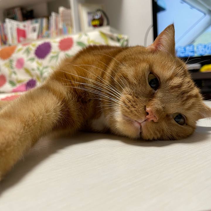 Baa8df06 0ad0 4dd3 aac5 229f3fbc5eca 1672309538236