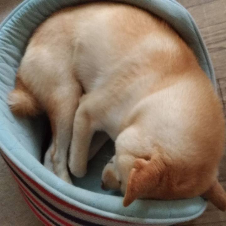 Baa8fd18 2531 47e4 a036 d78cfbf32af1 1536727306302