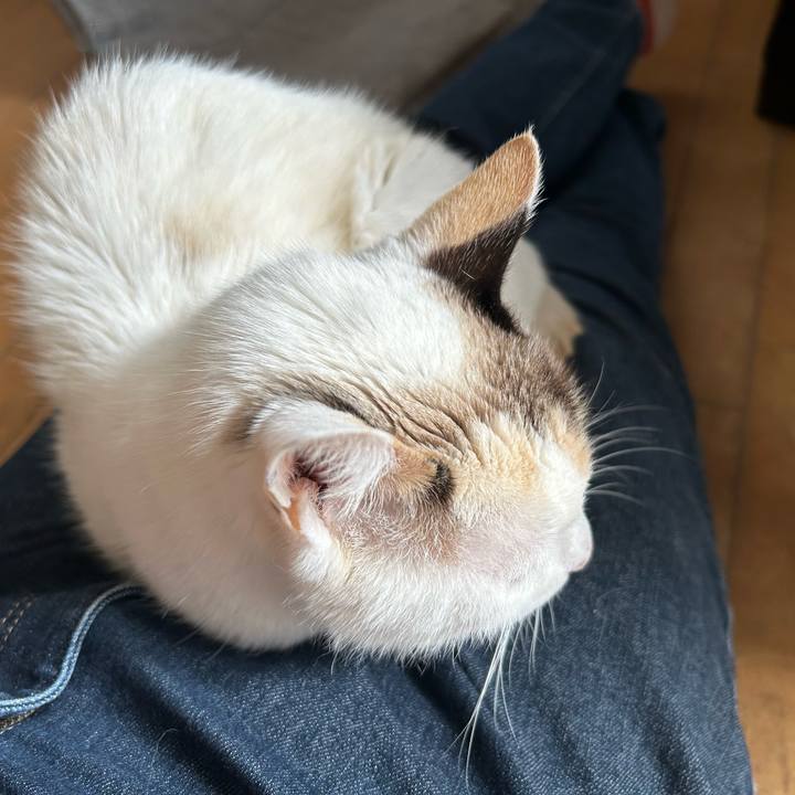 Baa90c0b e954 42ca 8a41 c4393d5f8c2c 1771913112064