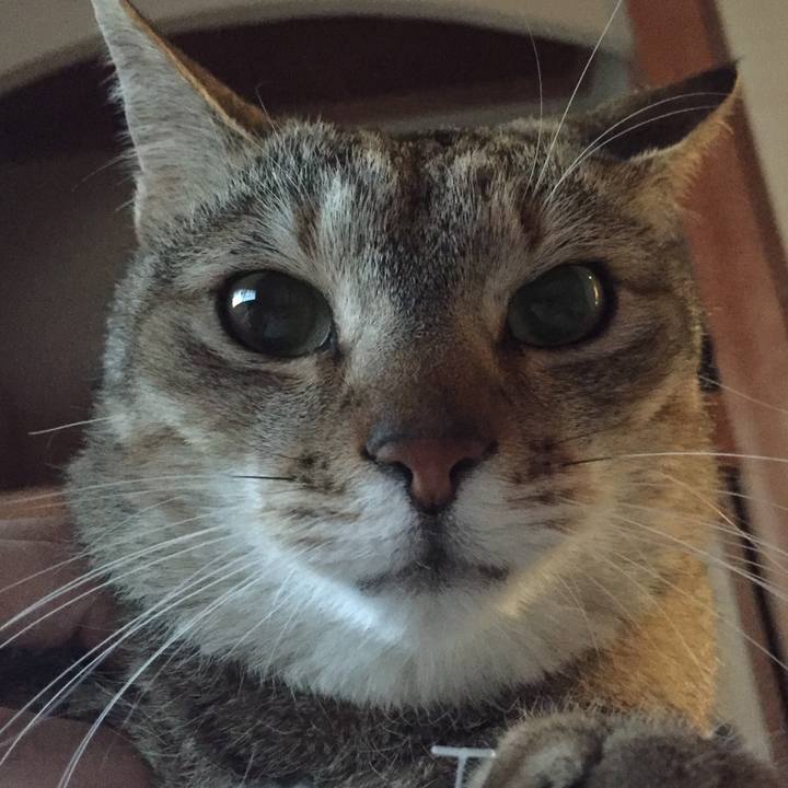 Baa917fc ce1e 455b bdfc 4eca8668fe9c 1520976538718