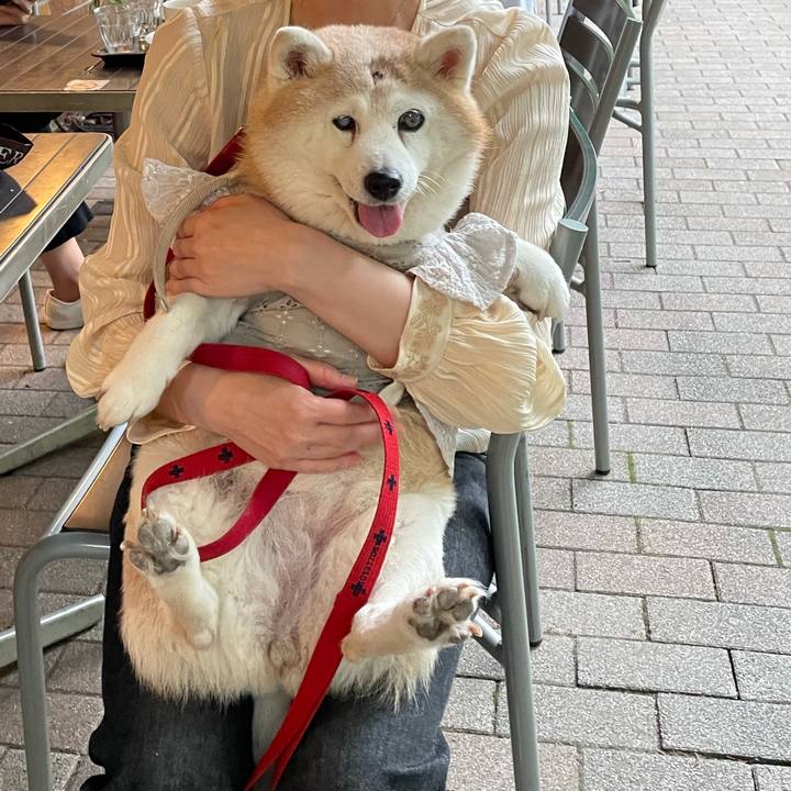 Baa93024 8397 451c 8524 d3d3177f1497 1750381853983