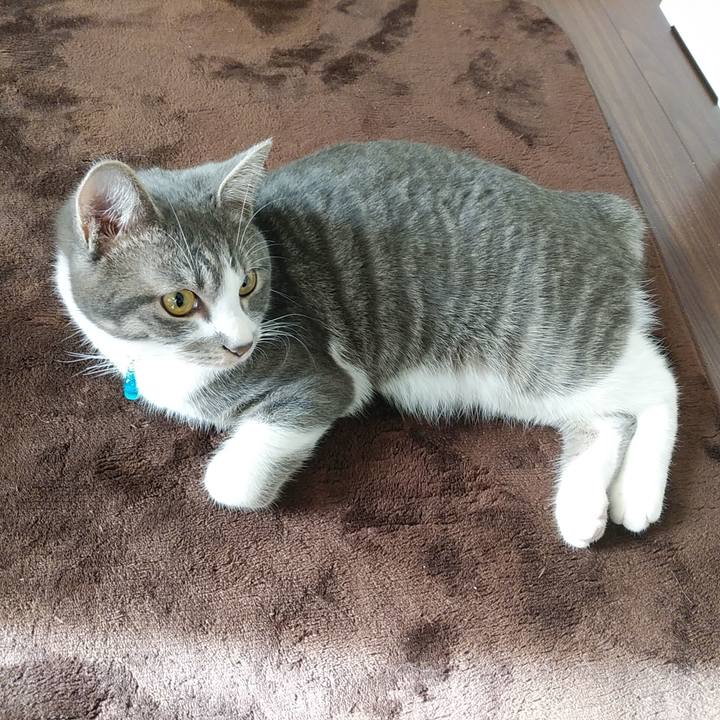 Baa935fc cf8c 48ee 864e 26335aed914e 1578646110814