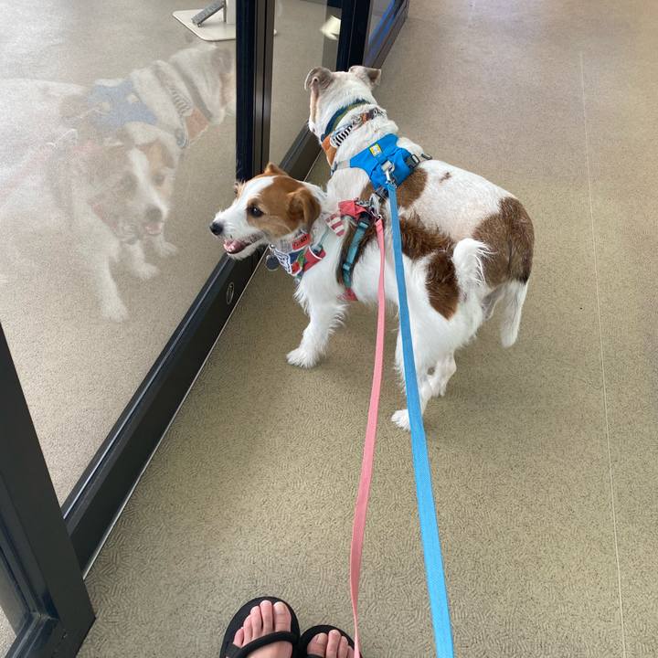 Baa981bc 740b 497c 953b 3bdd6cc8bdba 1691808088965