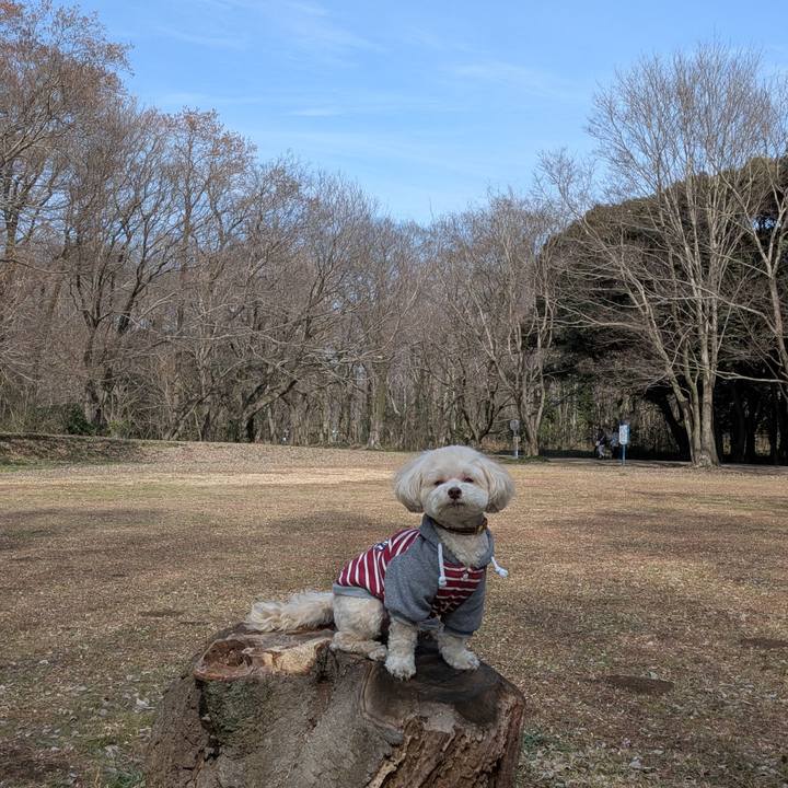 Baa9c0c8 ce9c 4fd9 912c 662560fff682 1771061677505