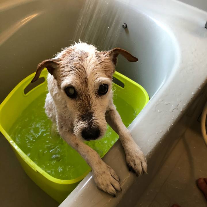 Baa9c6b7 a3ad 419a a33b febb3c07a501 1528032329764