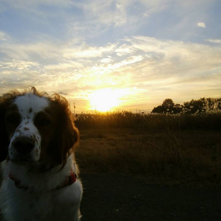 Baaa6f0e 27f1 4858 8fc6 911e9674af66 1544007709061