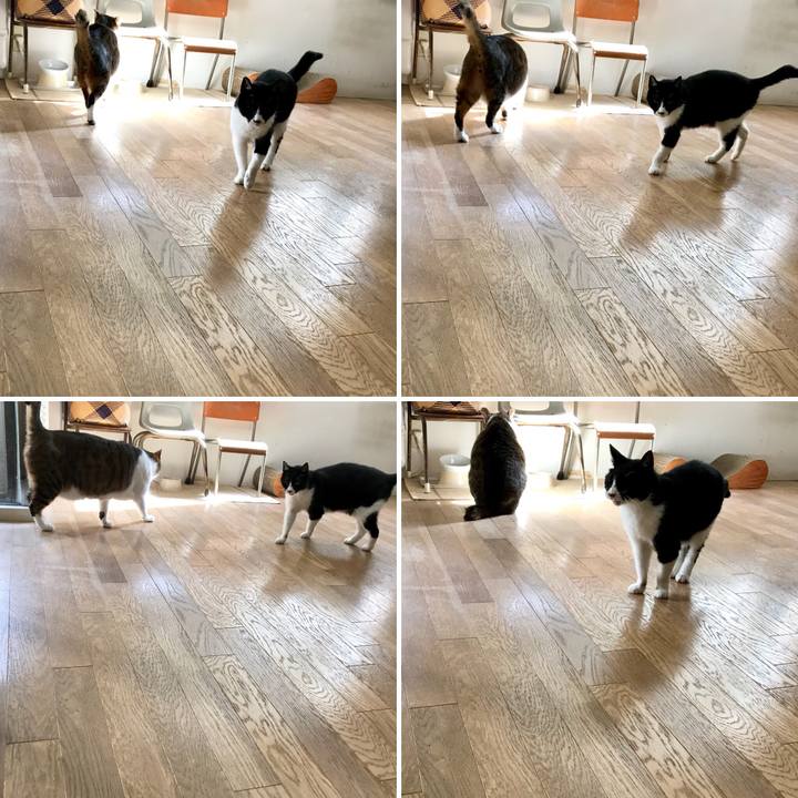 Baaaf707 1801 4a10 8bb9 bebc018e6273 1520750336554