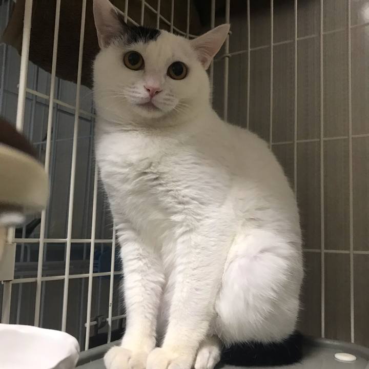 Baaaf983 18ce 42d1 af03 f36e2d2d692a 1546954156175