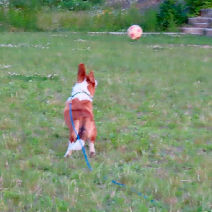 Baab01f0 2383 41ff b7db 328c466f30de 1623712563375