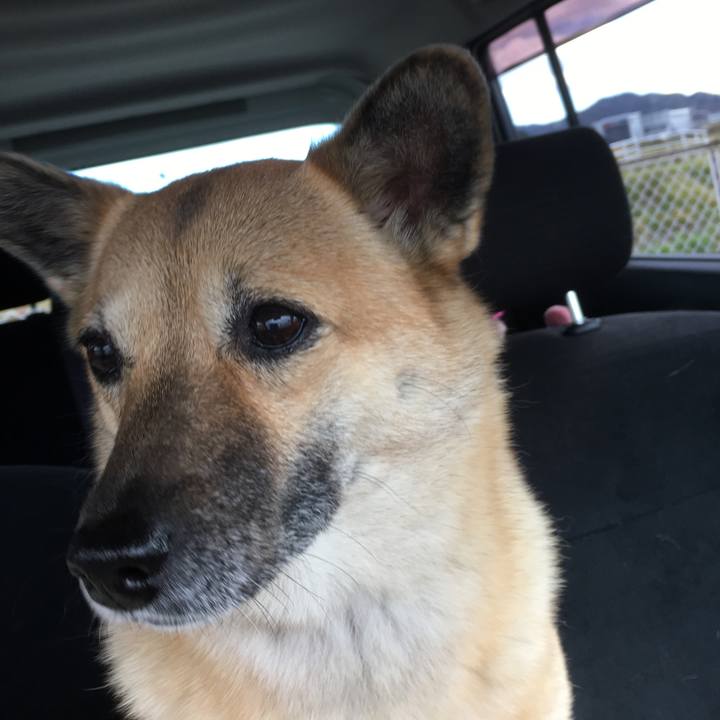 Baab4f09 95a3 4d97 8c19 2ccd835aaa2b 1512978396067