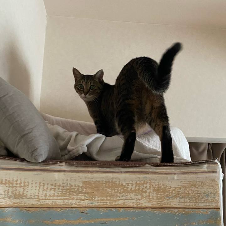 Baab4f97 27ee 4584 991b 0aaa65bfc46a 1767939096561