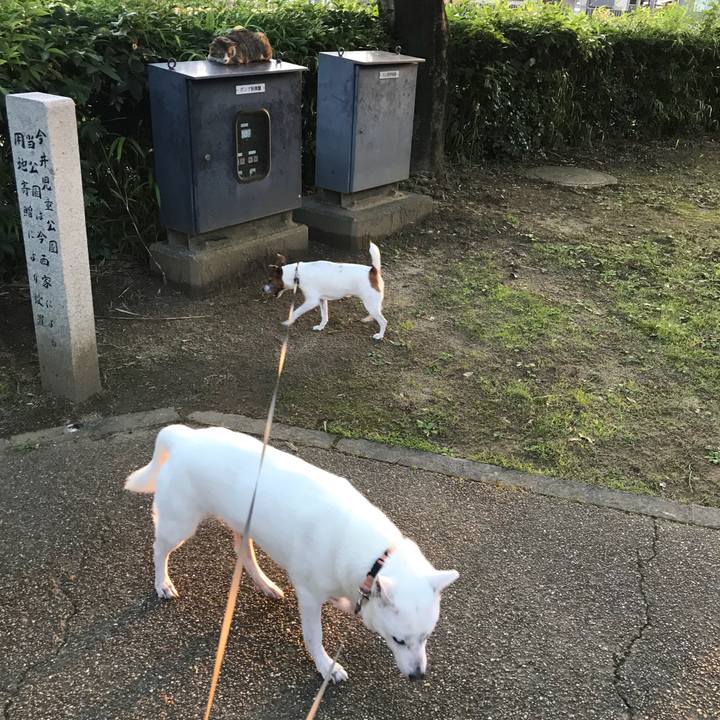 Baab6d2c 1ac4 4ccd a33c f602ad3a0a02 1528543073420