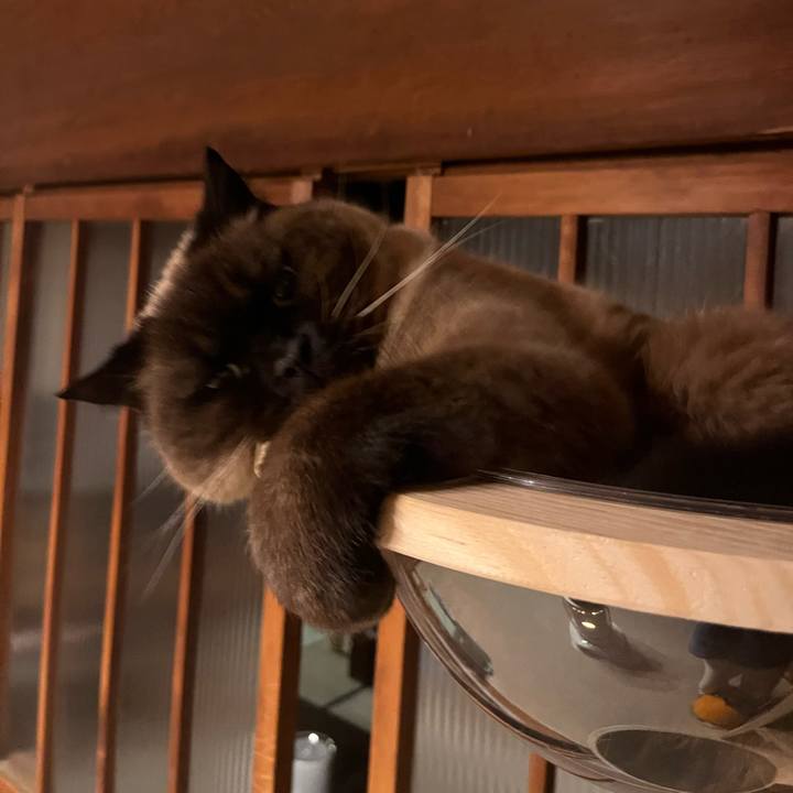 Baab856a c584 413f ba62 bfe50c8f1a4c 1709811783984