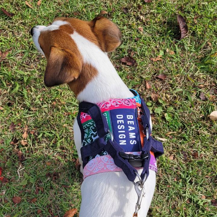 Baab87b9 93b8 47c3 865f e7f6009f5c96 1698213337028