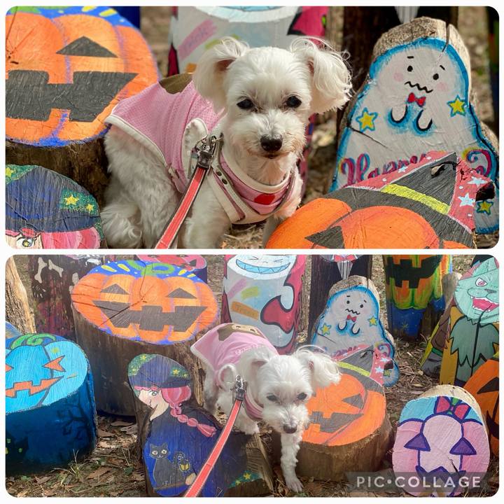 Baabaa51 6695 4b92 a6d3 66923307a5e9 1759022547093