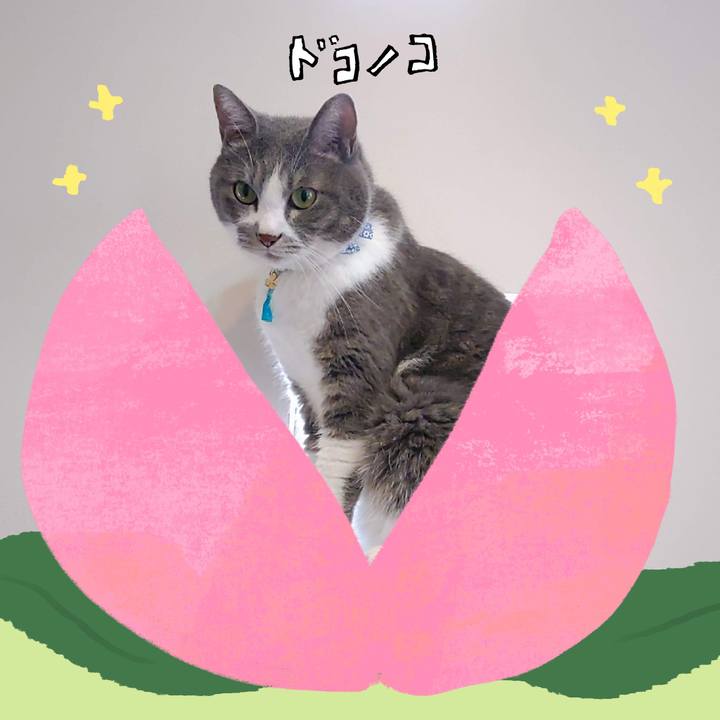 Baabe995 ddae 43ca abfc d8948a01fae3 1771987574313