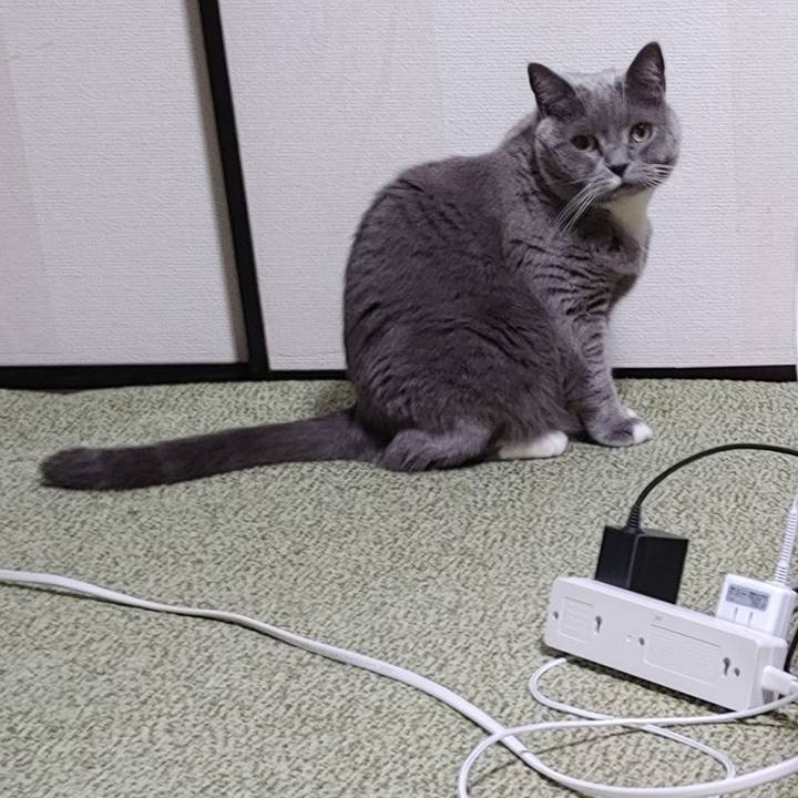 Baabefca fcf0 4735 a9a2 922e3775deec 1707572418722