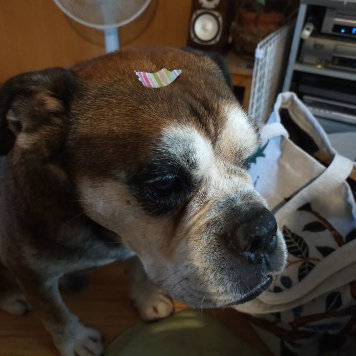 Baac0610 3c21 4e06 aa6d 7cba38141230 1658581406841