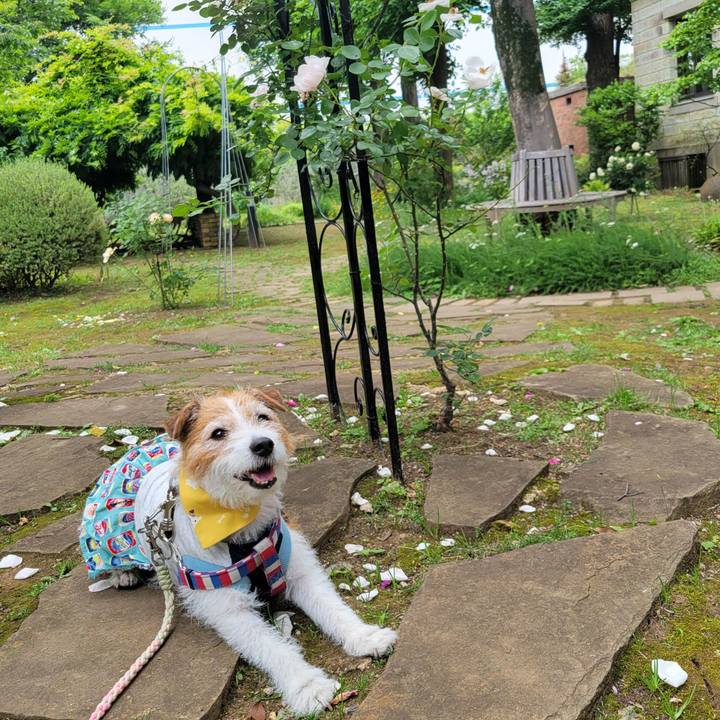 Baac186a 90c8 4056 b1f7 c687492d9fa8 1748066738706