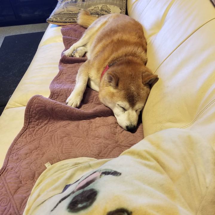 Baac1e13 2aa8 44e2 83fd 7948b88ee6ba 1734164874286