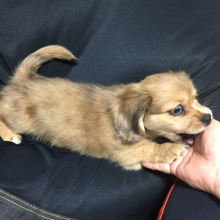 Baac1e22 83a9 4445 9648 f81abcd3f7eb 1537911430878