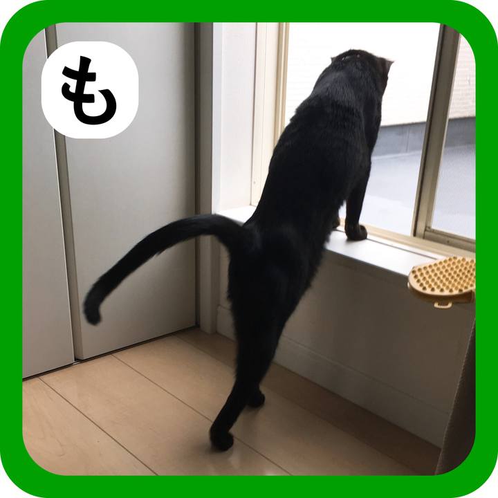 Baac343a d379 4ddf bf66 373a07480b64 1515164755106