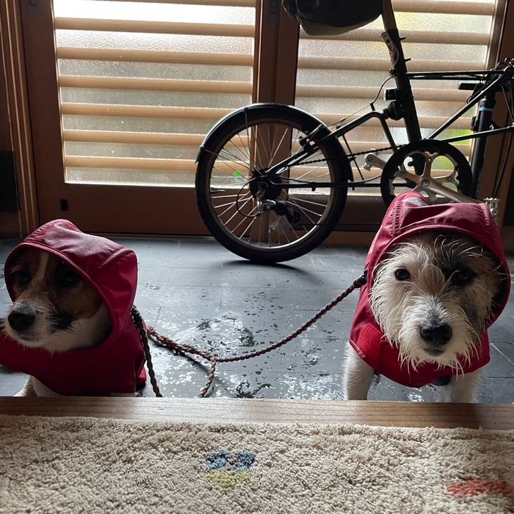 Baac448e 4363 4ce4 8db9 679f17ec0f6f 1689291610702