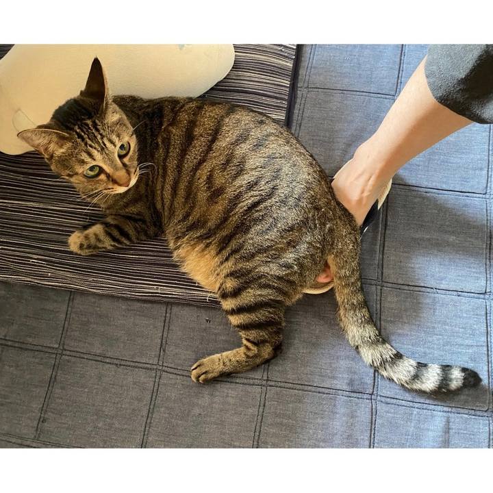 Baac4afb 0953 4ba3 be34 286a195531d7 1691498886659