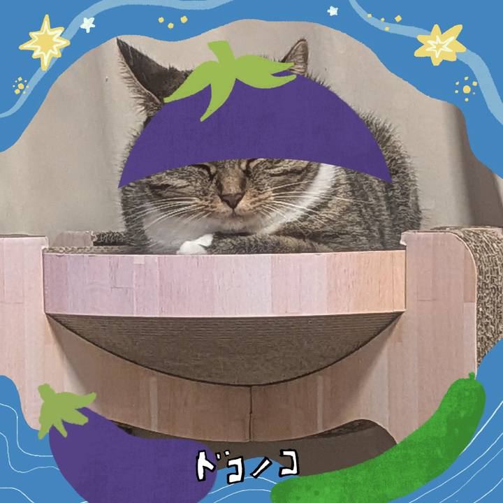 Baacb9d6 b6e0 4cd9 9e7b ce914f9829f6 1755527734325